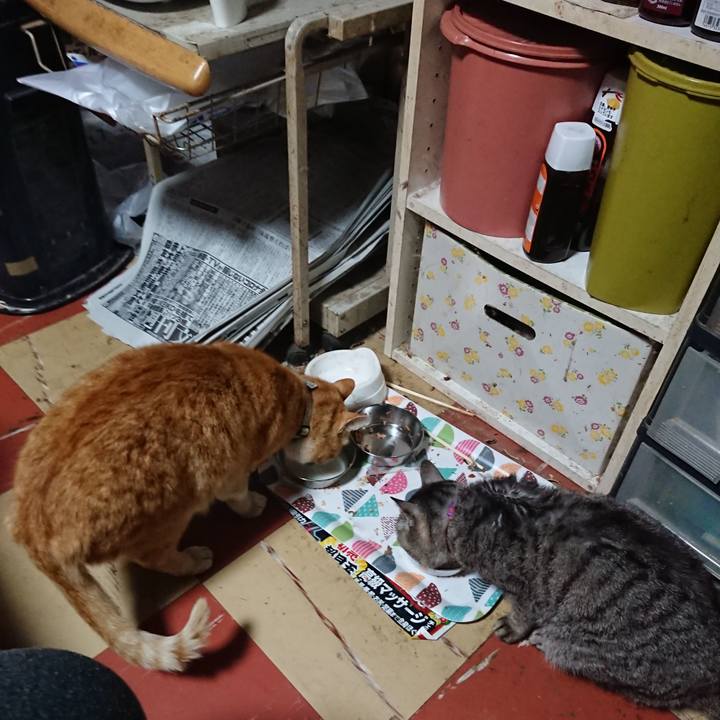 89fe66c5 204d 4852 87e5 f8ceda165b22 1588067987190