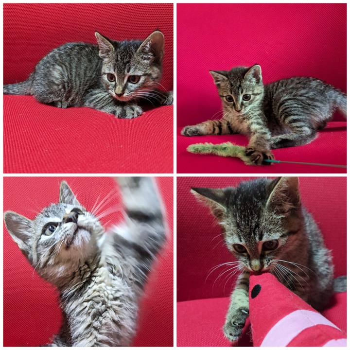 89fe7b46 5d30 4166 9a9d 053d3a6cf837 1698552670518