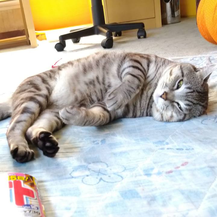 89feaa9a 8f1b 4a2c 9866 a93bee427546 1590812928839