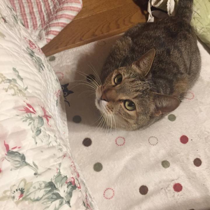 89feb949 3586 4582 b41b 4d53eef50a91 1545146168642