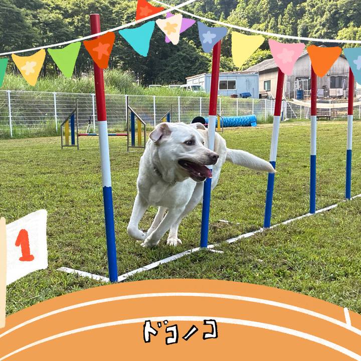 89fec308 5e40 40b7 a725 faef58e5ec77 1761099082912