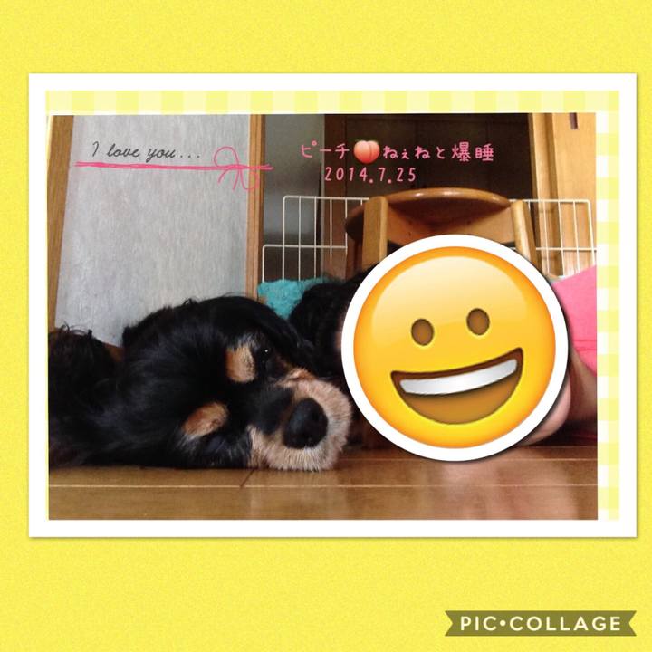 89fecbb6 b17d 4922 9a33 66f052988d59 1530400188058