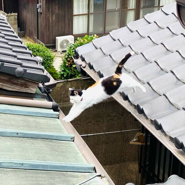 89fecdf6 0b92 442a 9a35 7b142d91e784 1654853303228