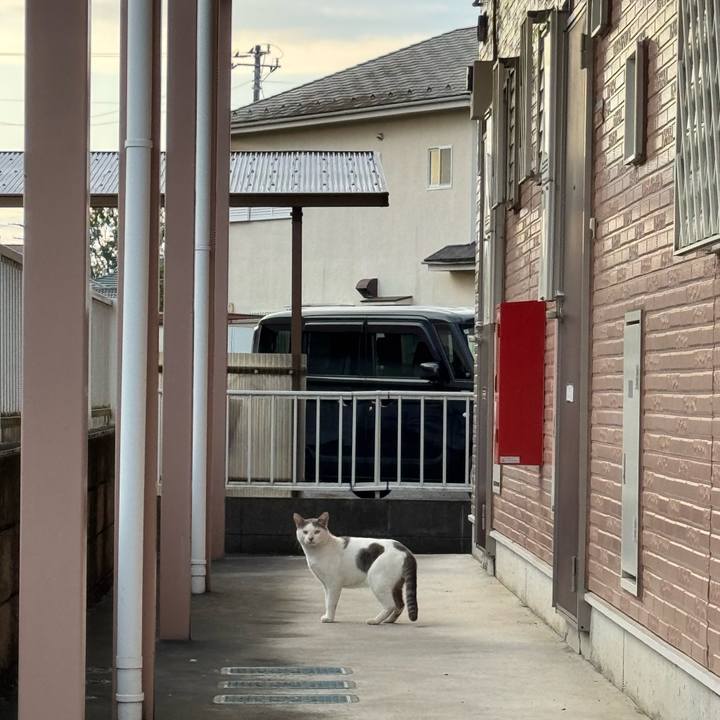 89fed9a2 fad0 4cfb bdde 76cece840e99 1757990431291