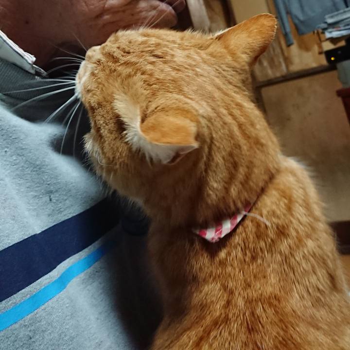 89fedd1f 5ae1 4319 9366 f140cfaa0fc4 1607716444242