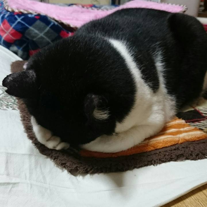 89feed14 7ec3 4aa3 b9d1 61775e5fb456 1509715310376