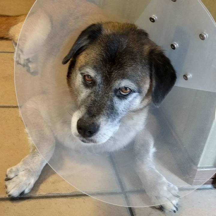 89fef50b e194 46df 8c11 0b5687d875bb 1534726676551