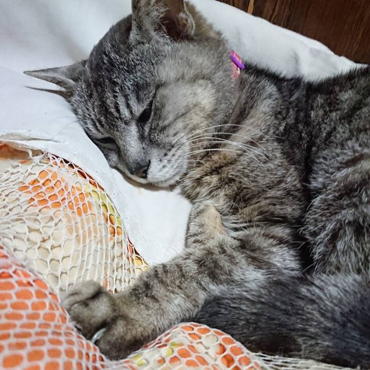 89ff0484 f8f3 416e 9308 b90b119d45bd 1591276611525