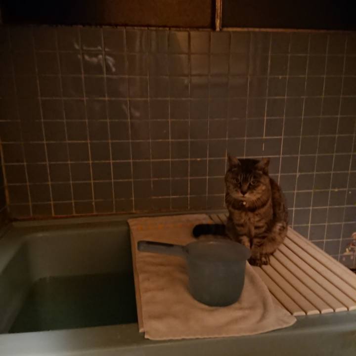 89ff0eae ba71 43f2 ae33 4ec076ce383f 1573031743132