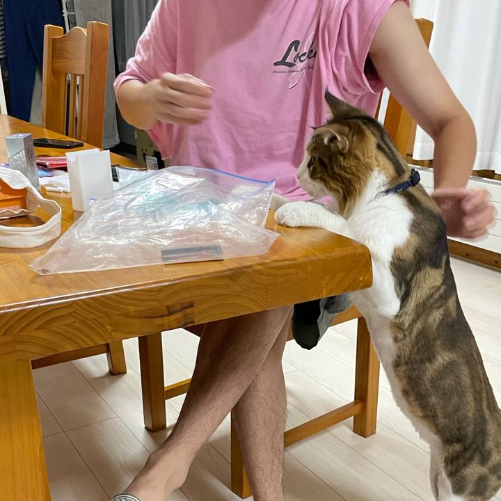 89ff0fe1 9ab5 4929 8749 d3708e17b880 1660041032062