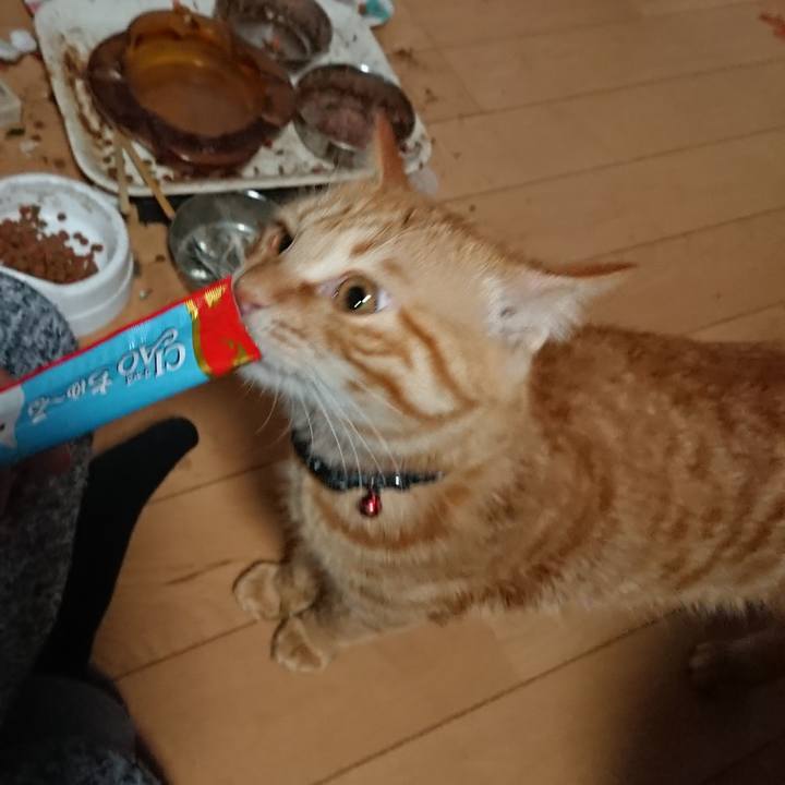 89ff41e1 1c80 4580 950d 64df2ac29b21 1645567229585