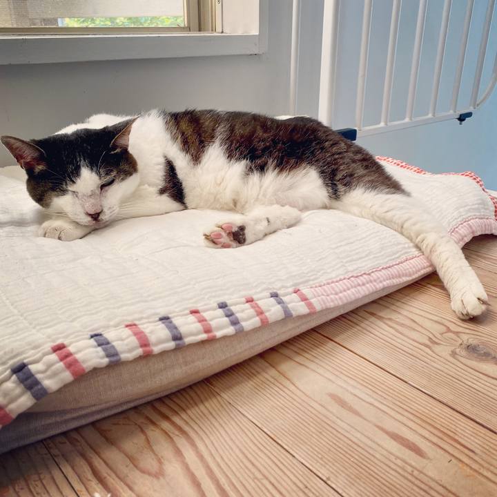 89ff483a 42c8 4086 98dc 96eb9d534973 1593673442089