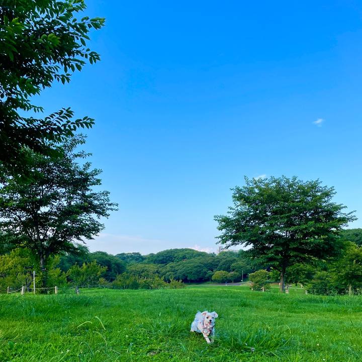 89ff4b91 2990 4094 8f69 7bc621d87b96 1625913807996