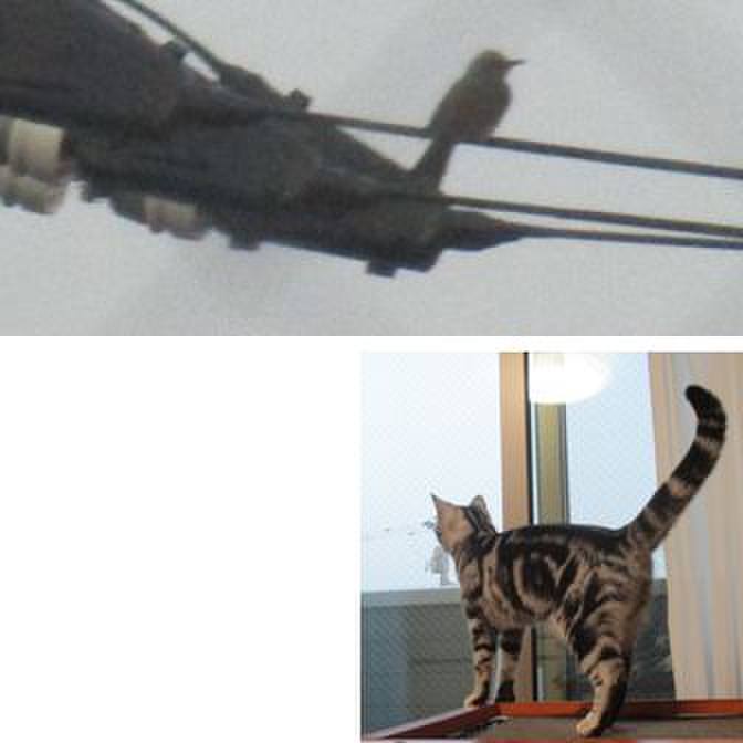 89ff5a13 8bc2 4b68 9c5a c88ed092e470 1554630214567