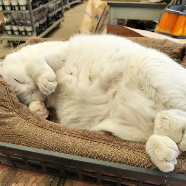 89ffde42 6c29 4fbf a4b9 24f09de03fd8 1768661361253