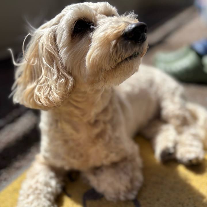 89ffea43 4243 42e9 a27f da41f19f0fdb 1773566712368