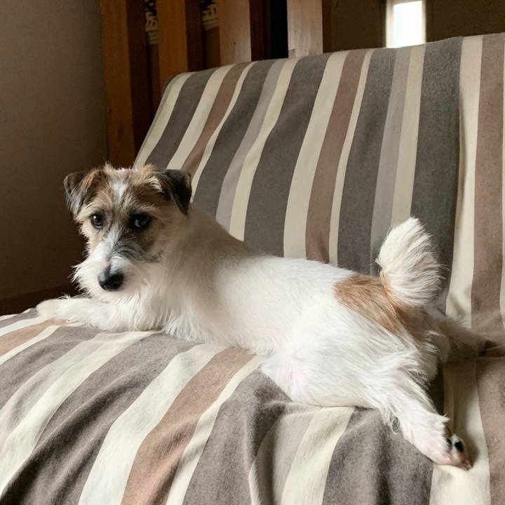 8a00025c 9591 4e01 84a8 c42d9b7f19f2 1575687649085