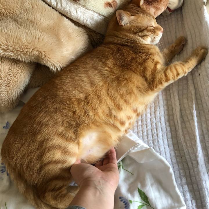 8a003f08 a2fd 451b 98e3 e0d4c7d1ff92 1573432420062