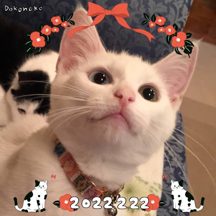 8a0081e2 3442 4efe 841e 56540df15c9f 1645523750221