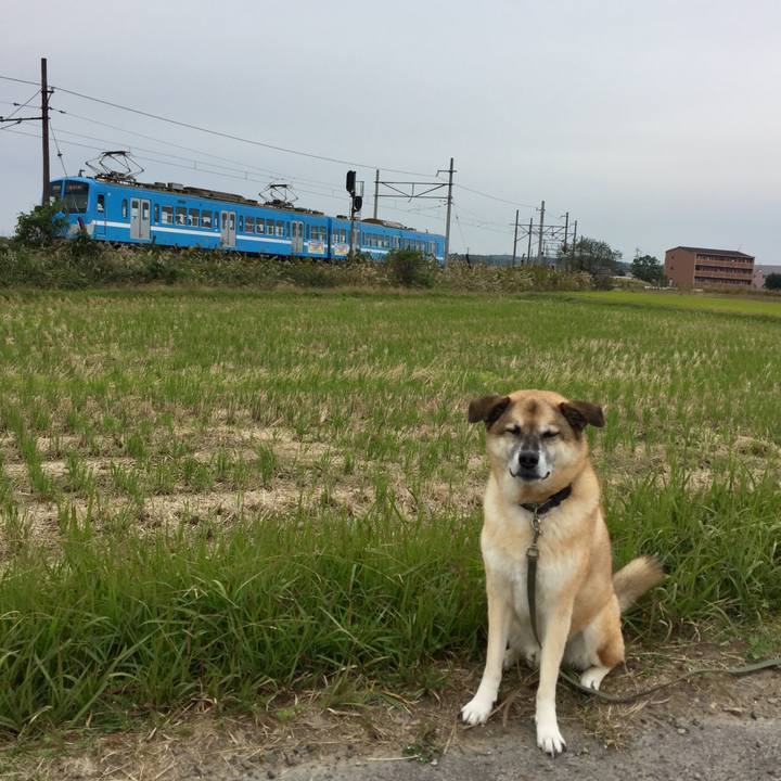 8a008a23 7190 4a20 93c2 9fbe9f20f1d5 1572762396098