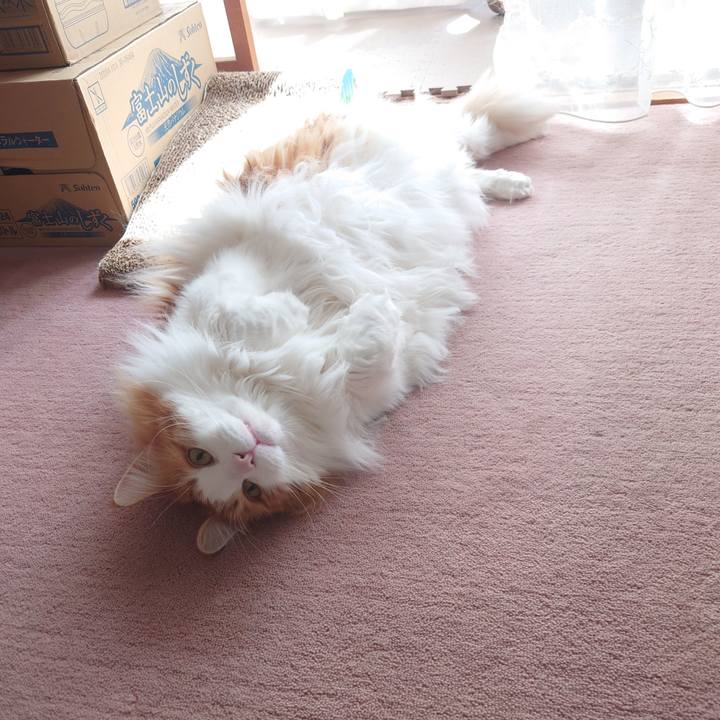 8a00949b cd88 412b 82e4 27b62c202044 1651675367381