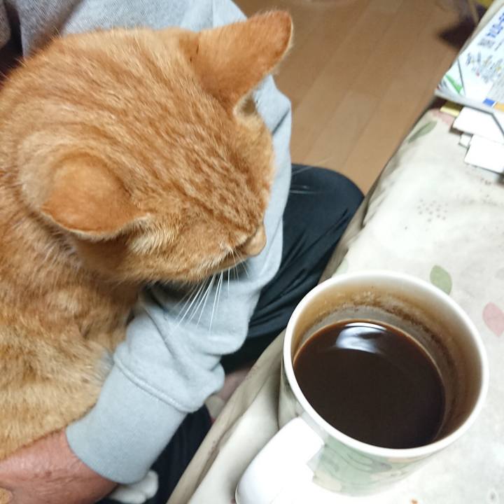 8a00ae55 8ee3 4644 90b3 0fe9b9406ed1 1601583139133