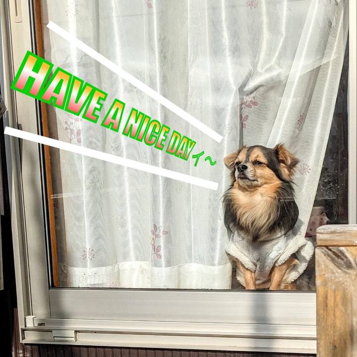 8a00bf1c 72e8 4cb3 a1af 7121ba7221f8 1615080278923