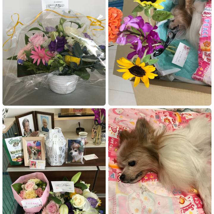 8a00c8e4 315e 4b0a a809 b8c6b6ec771c 1628924779297