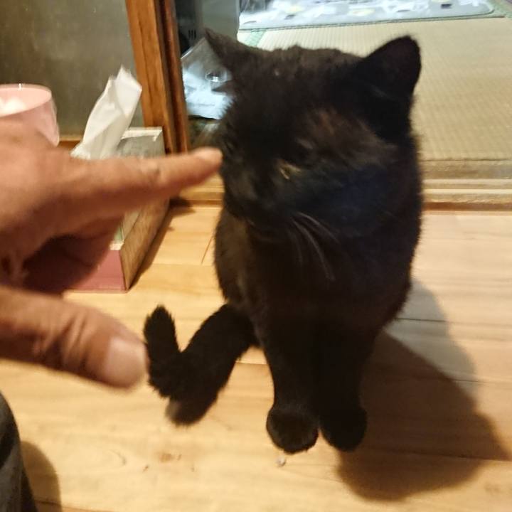 8a012864 1d6e 4f93 98ee a225af917bf8 1621074952463