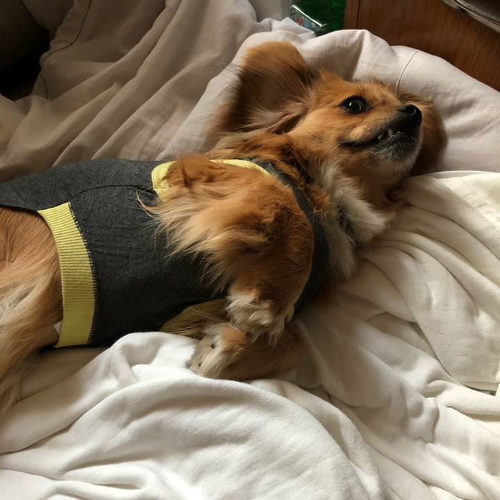 8a012c6b f599 42d5 92f4 2dfc670142d1 1526592136001