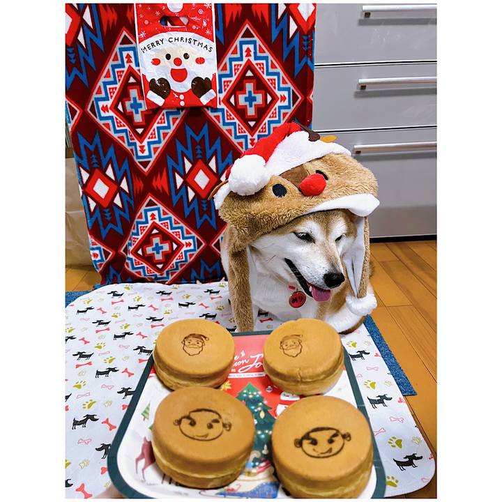 8a012ce1 85c1 42c7 a1bd d33b30c8c25a 1669284770134