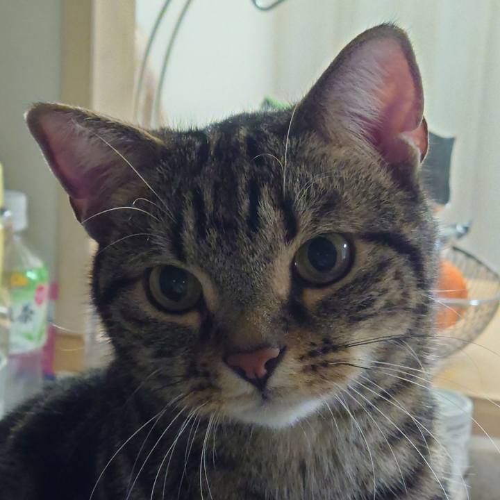 8a01352e 7410 4f90 a197 1e8c00ea2af6 1617976955473