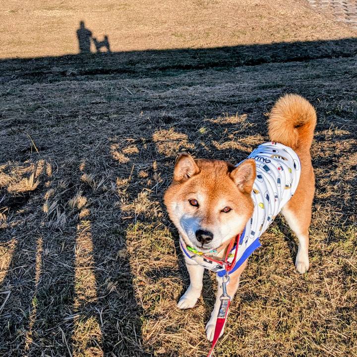 8a01d7a3 11a6 44e8 a8d4 0e1846badcaf 1769237680175