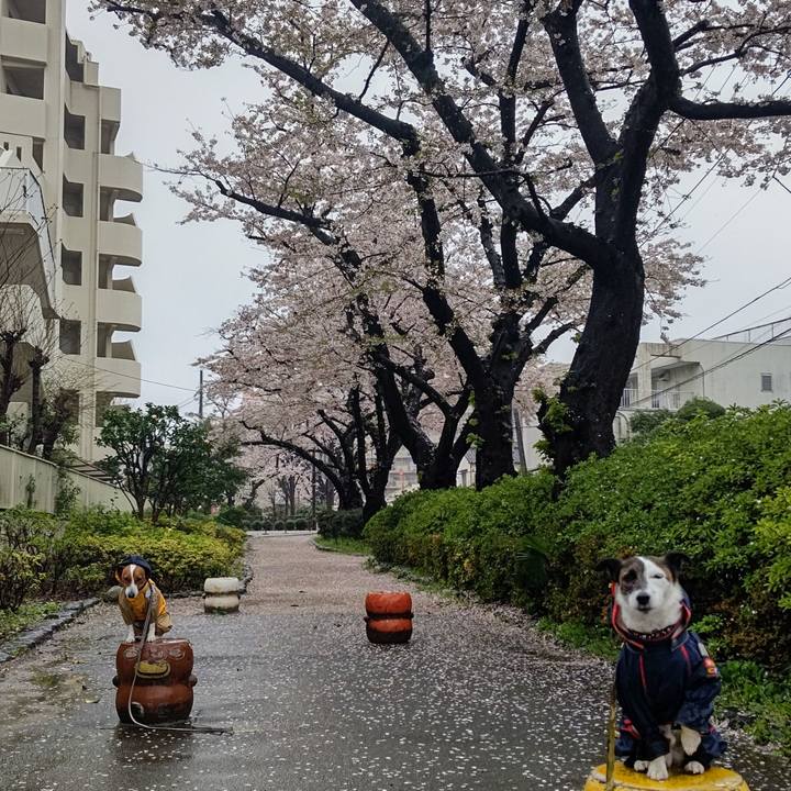 8a01da1b 74a2 464a a48a 1d86880a5aff 1679791113305