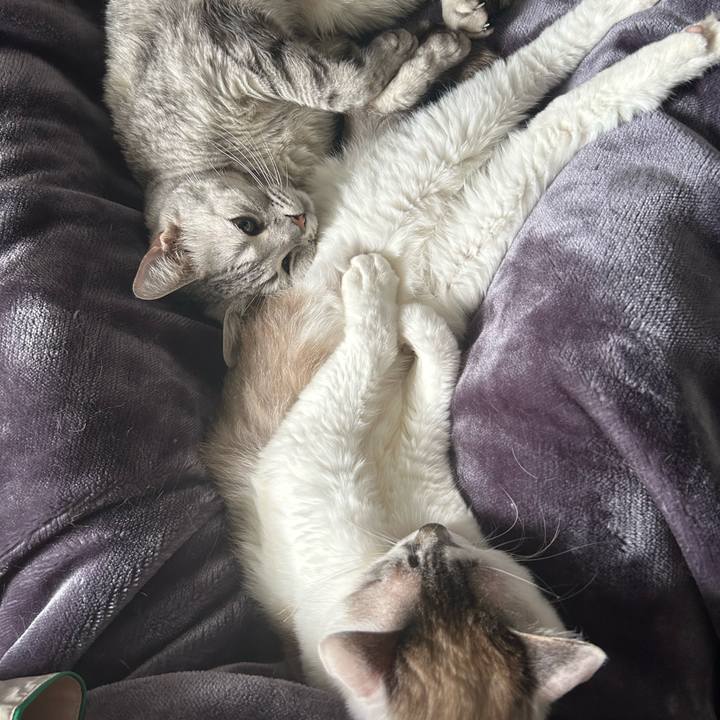 8a020863 3543 44c9 a08f 1ea8d78c4bd1 1748824253701