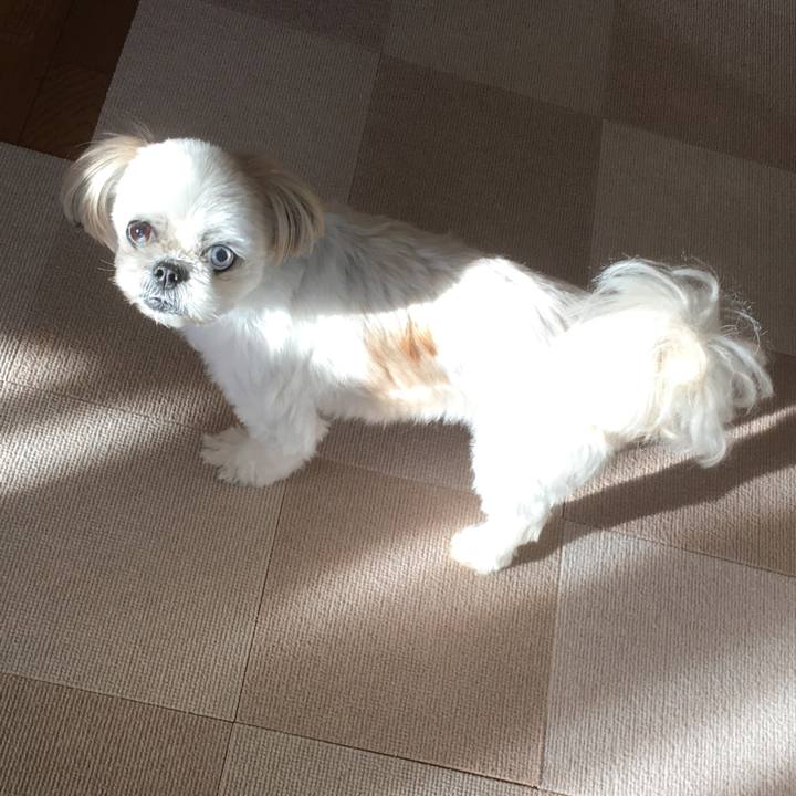 8a021cdb c763 479e a382 da9cc174c1a9 1603540062172