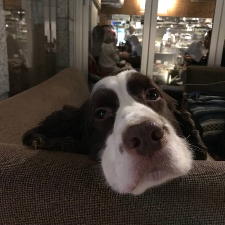 8a021e0f 8b2d 4051 a00c 1dec30f6f4f4 1510285453850