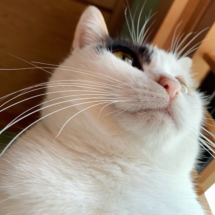 8a0225d7 2852 4842 b90f 3035d9ba455a 1543888027552