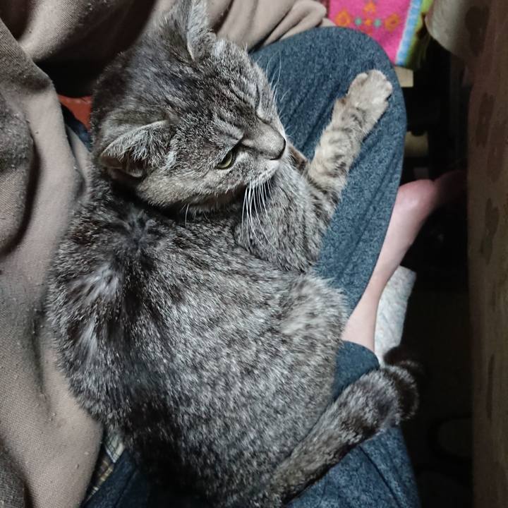 8a0262d9 7c6f 47cf adca 51ab68321c55 1578602163112