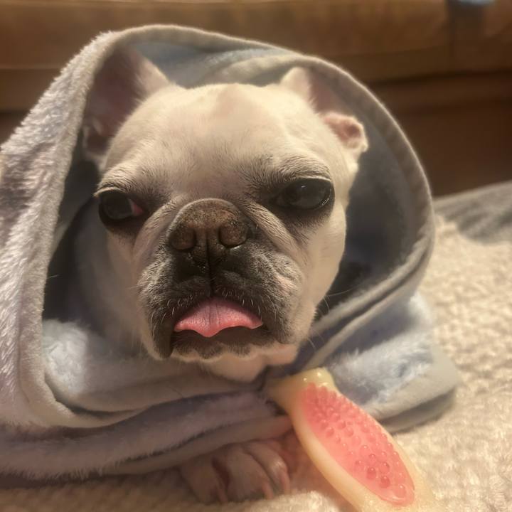 8a0277ea 989d 4b50 b0f4 057826d7da98 1744462116836