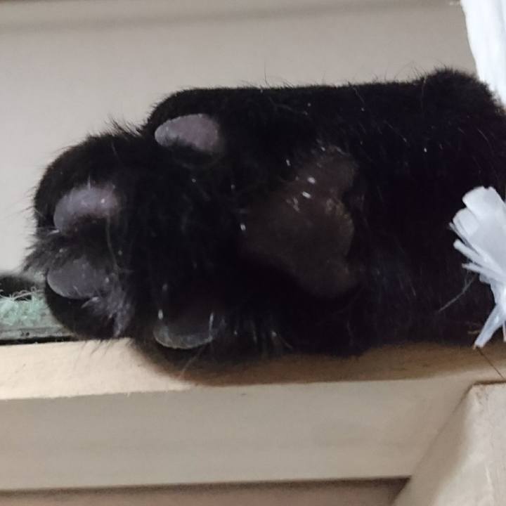 8a0296f9 1003 4d60 91d3 62108c1ff7a2 1546166910487