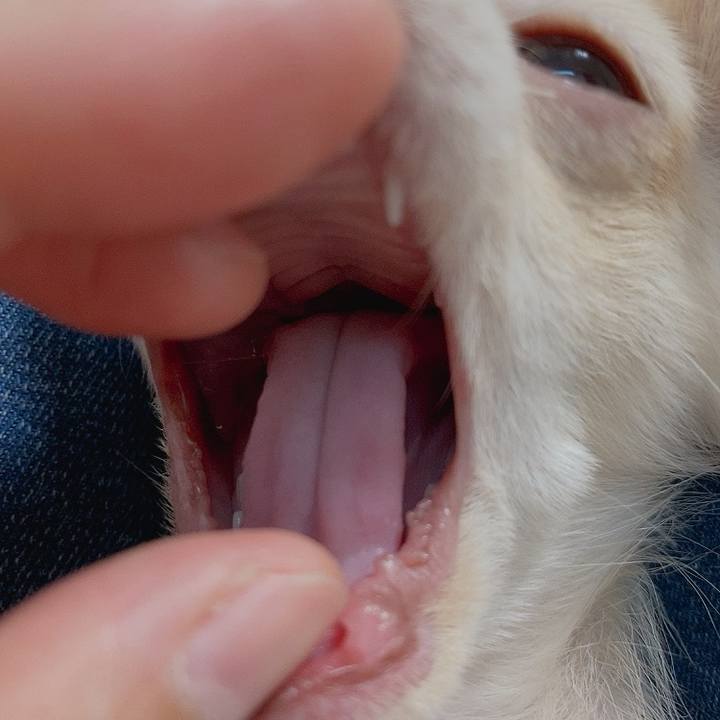 8a02a181 1000 4448 89ec 7c10b5300ab3 1591862537571