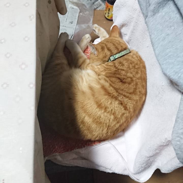 8a02b128 055d 4bea 9bba 574e0f728468 1583570747170