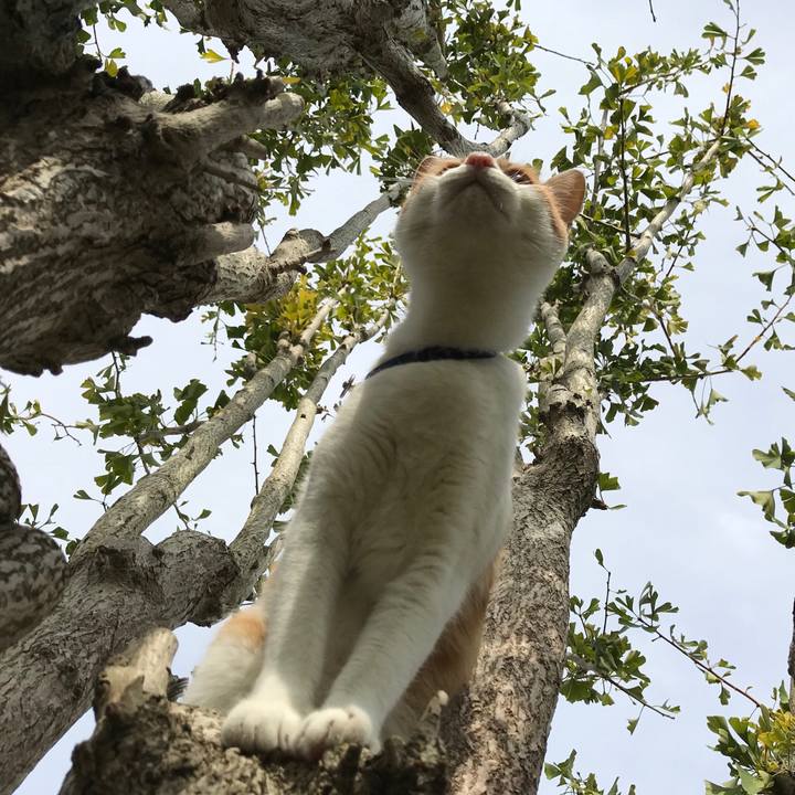 8a02e9b0 588f 4430 8290 91f6ae00441f 1509160177285