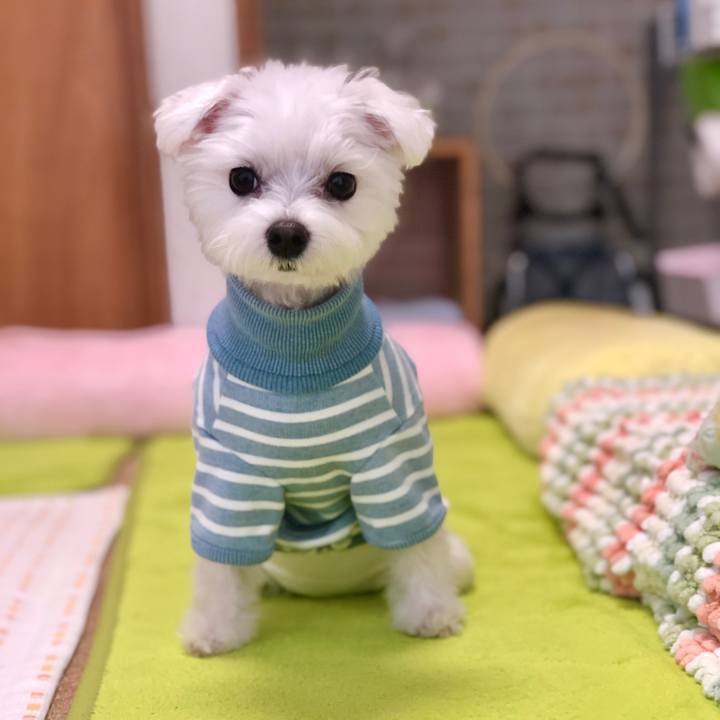 8a02f5f3 afe4 4d06 8696 1ff9e6208609 1590386547551