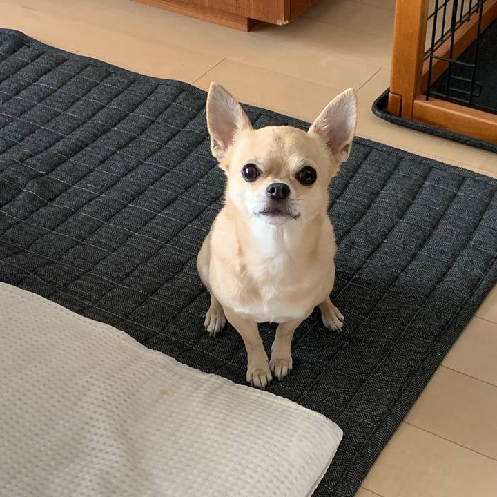 8a02fa9f 4075 4adc b154 25a3b3376119 1622190649182