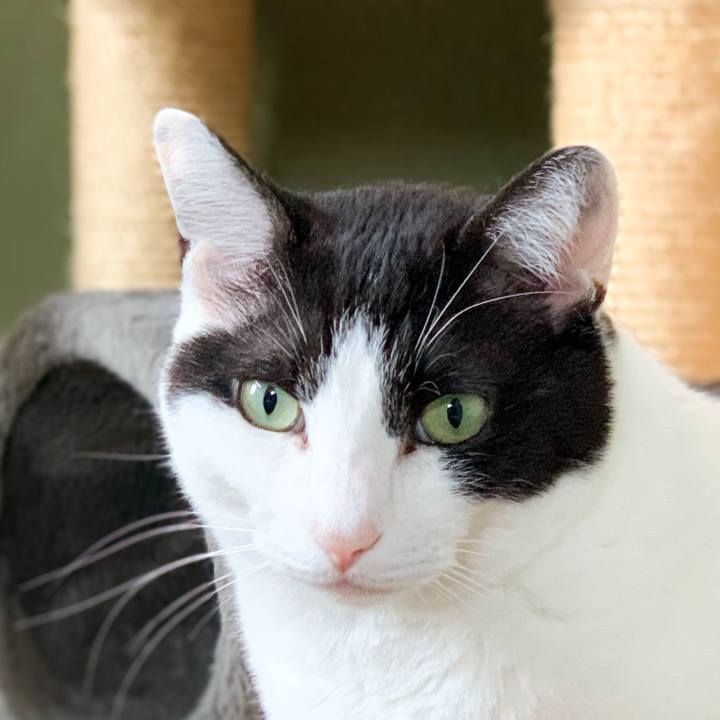 8a037f0a b0d1 42c1 bf6d e1a6612cd05d 1592617423303