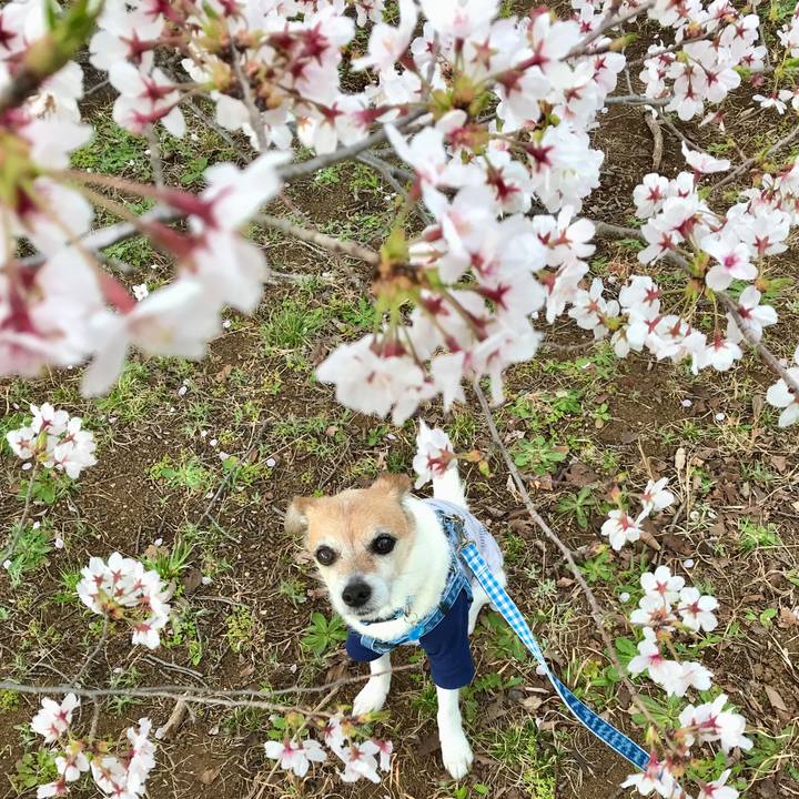 8a039bcb 80d0 4c17 a711 ca521ea18f31 1648630026493