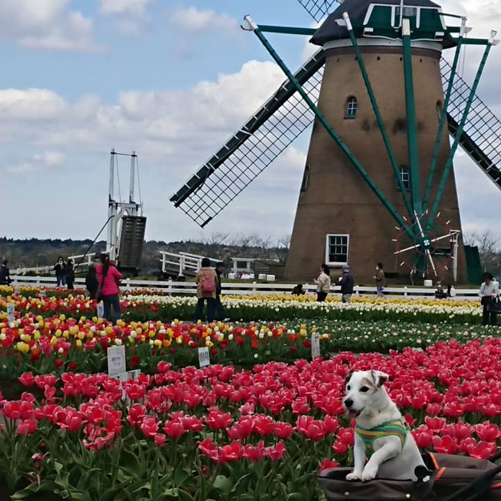 8a03bf53 f6df 48cb 8a5c dfed1b816cdb 1554812181861