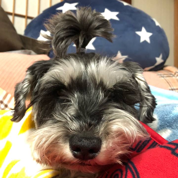 8a03e3ae d796 48ef a7a6 29fe5d40c1d0 1645884647589